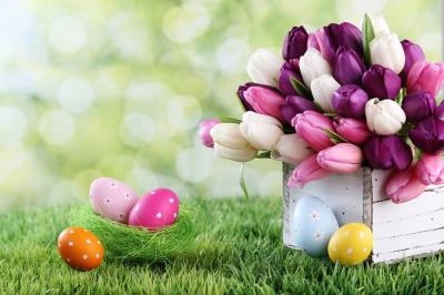 Easter Egg Hunts and Activities in New Jersey